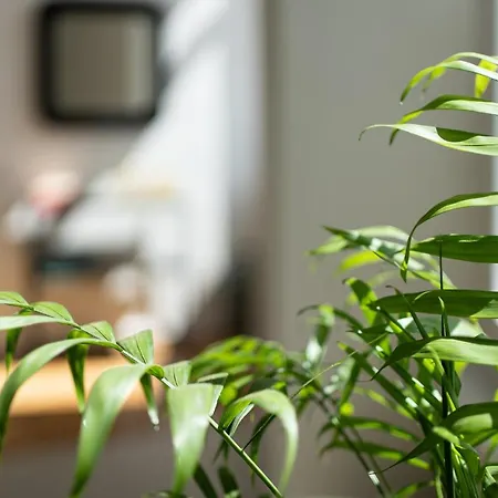 Design - Center 게스트하우스 4*