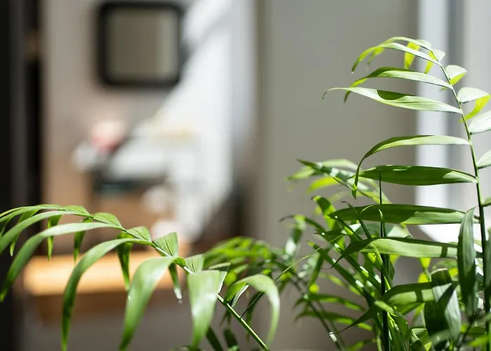 Design - Center Гостевой дом 4*